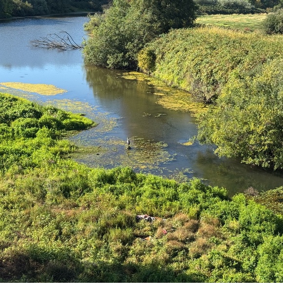 Meet your Posher, Shannon - Picture 1 of 1